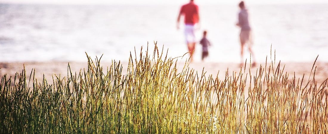 25 Fun & Free (or Nearly Free) Things to Do When You’re Broke