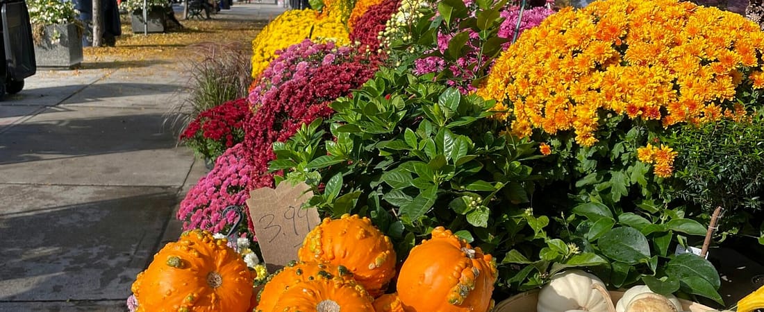 How to Make Extra Cash Selling at Fall Fairs: A Complete Guide
