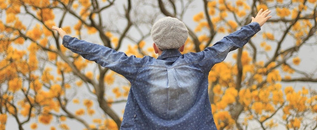 Budget-Friendly Fall Bucket List for Families