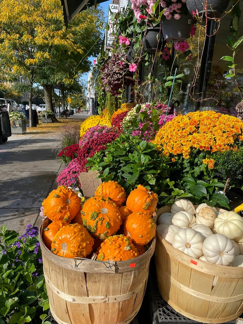 How to Make Extra Cash Selling at Fall Fairs: A Complete Guide
